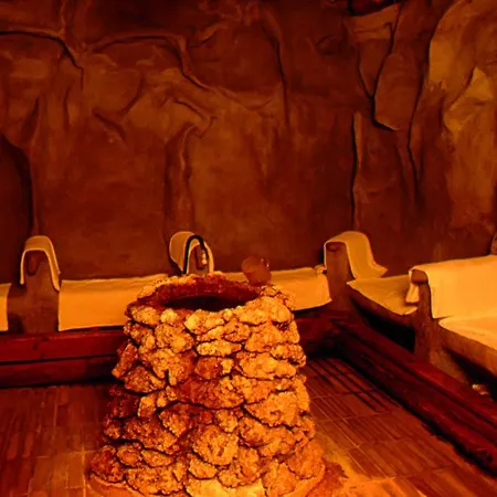 奥维多温泉酒店 酒店