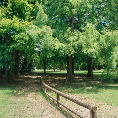 Termeterna Longevity Spring