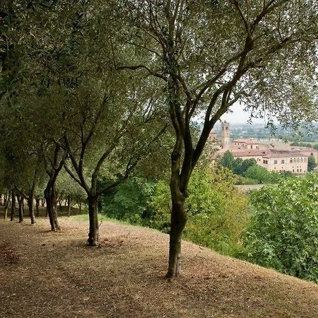 Terme Orvieto Hotel