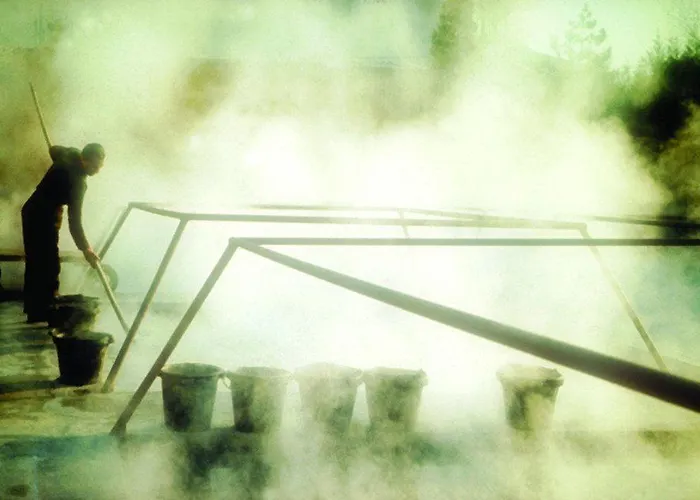 Terme Orvieto 호텔 4*