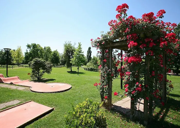 Terme Orvieto فندق